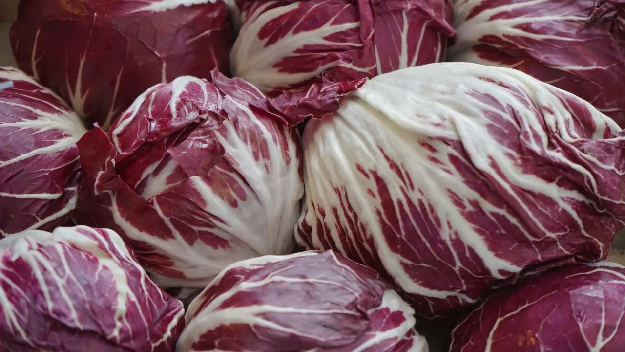 Come preparare il risotto al radicchio: ecco la ricetta cremosa veneta