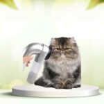 Dì addio ai peli in casa: prova SpazzolAmica per animali e superfici sempre pulite