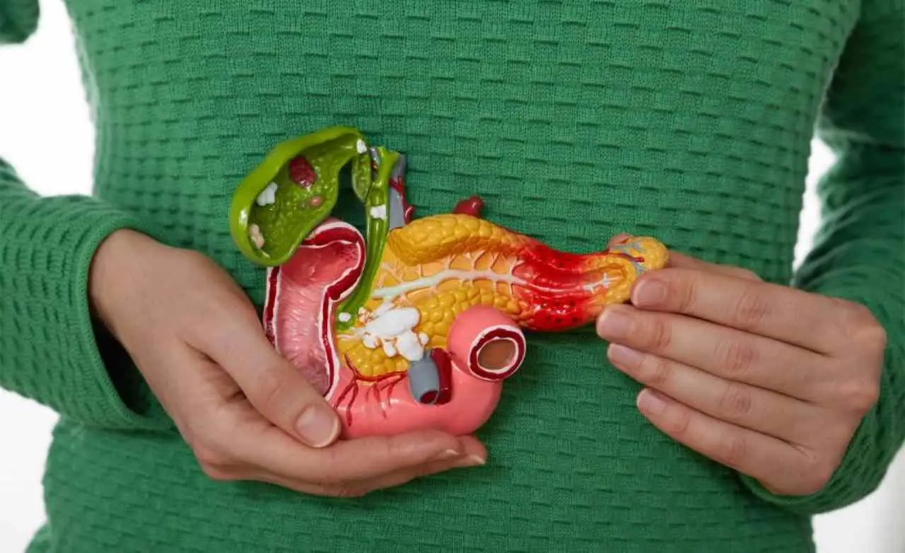 Allerta pancreas: ecco i cibi più pericolosi